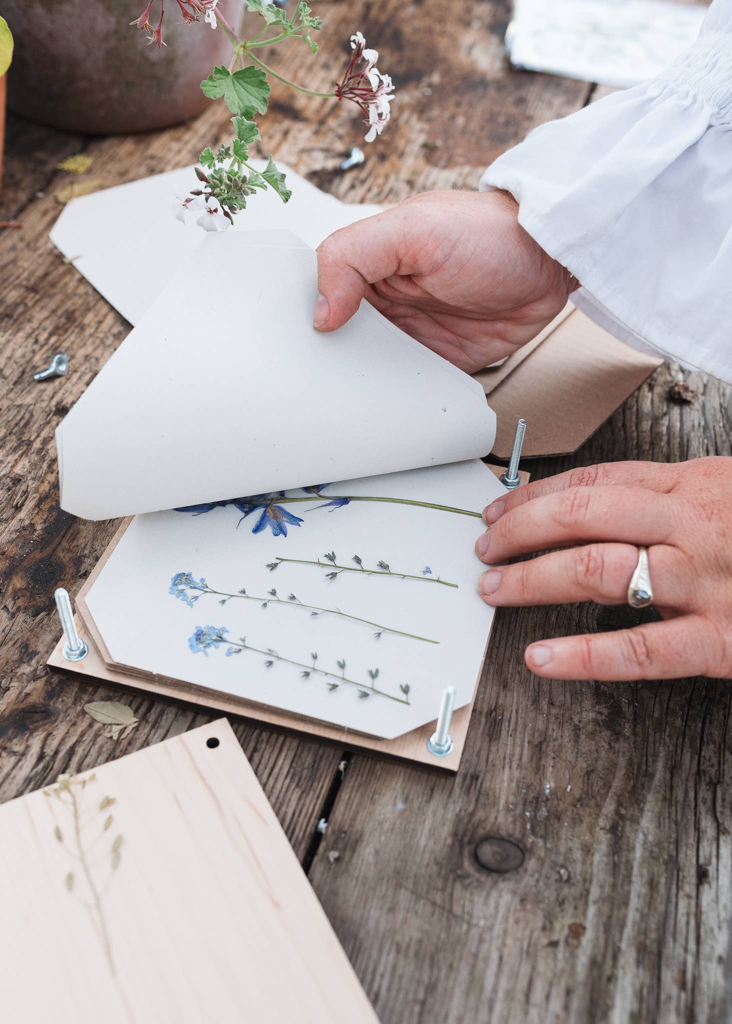 Studio Wald - UK Made - Wholesale DIY Craft Kit - Flower Press - Cosmos2