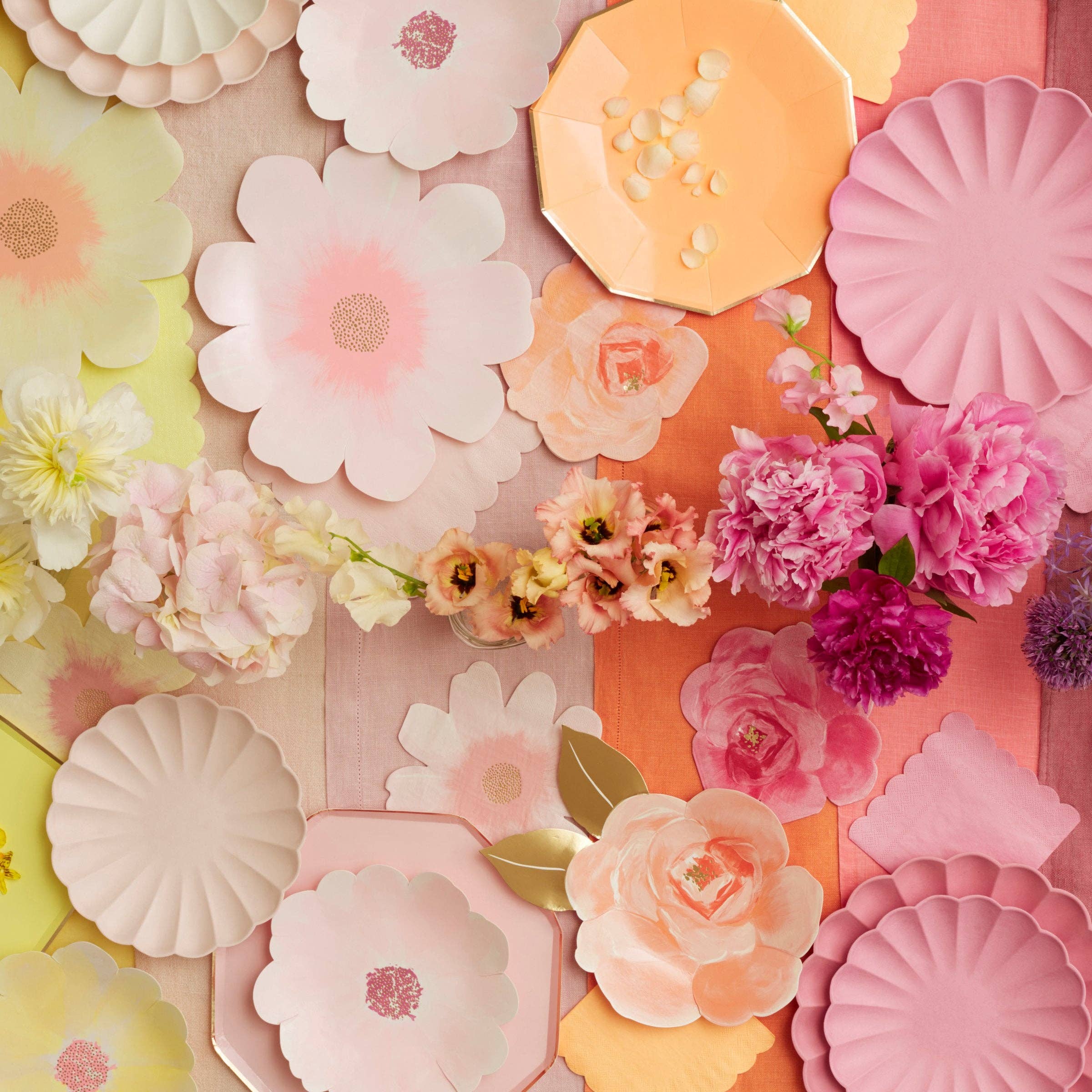 Meri Meri - Wholesale Disposable Plate - Large Multicolour Compostable Plates6