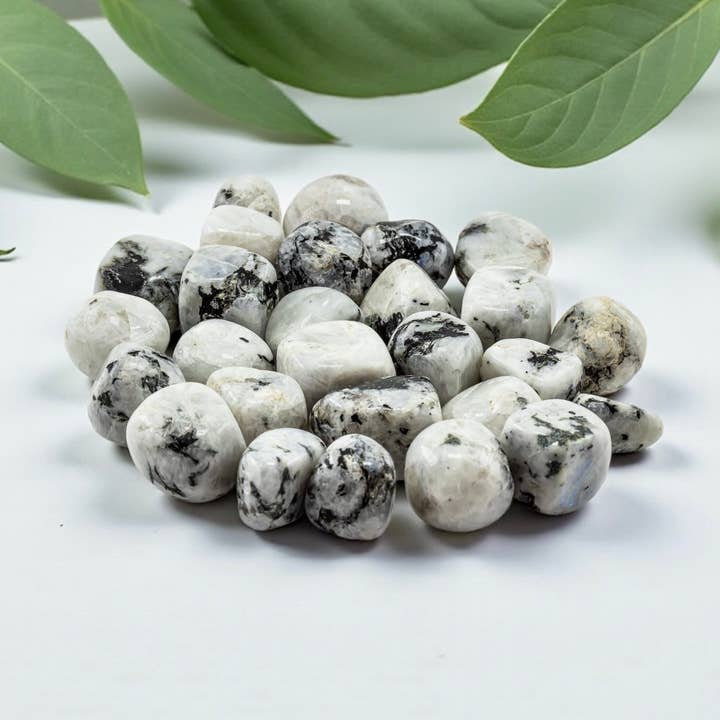 Quasar Gems USA - Wholesale Spiritual Stone/Crystal - Rainbow Moonstone Tumbled 1KG/2lbs0