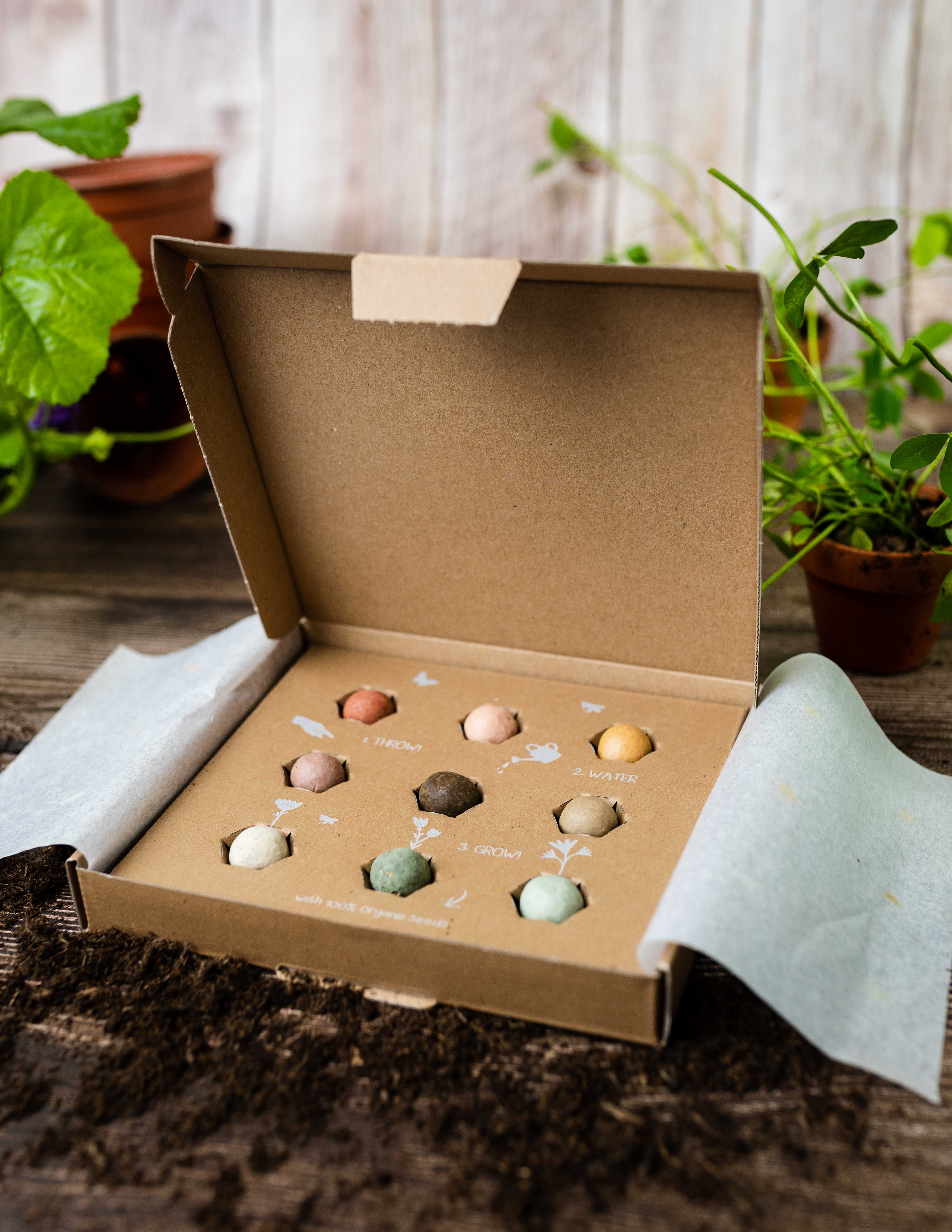 Blossombs – Engroshandel Plantefrø – Medium gaveæske med 9 økologiske frøbomber4