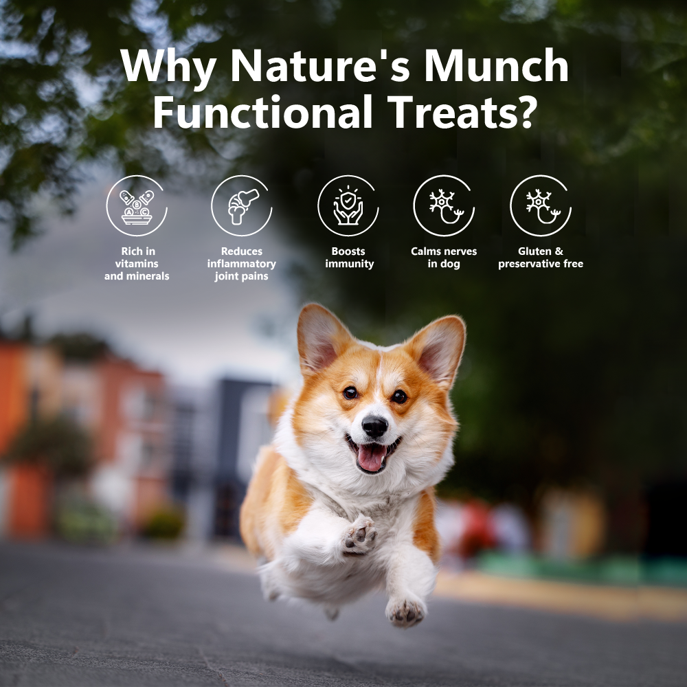 Pawfect Pet Foods Pvt Ltd - USA - Wholesale Pet Treats - Dog - Pawfect Nature's Munch Freeze-Dried Joint Care Cheese treats for Dogs| 100% Natural| High Protein, Low Fat| 8 Calories per Treat| Grain-Free| Healthy Training Treat (75g/2.65oz)2