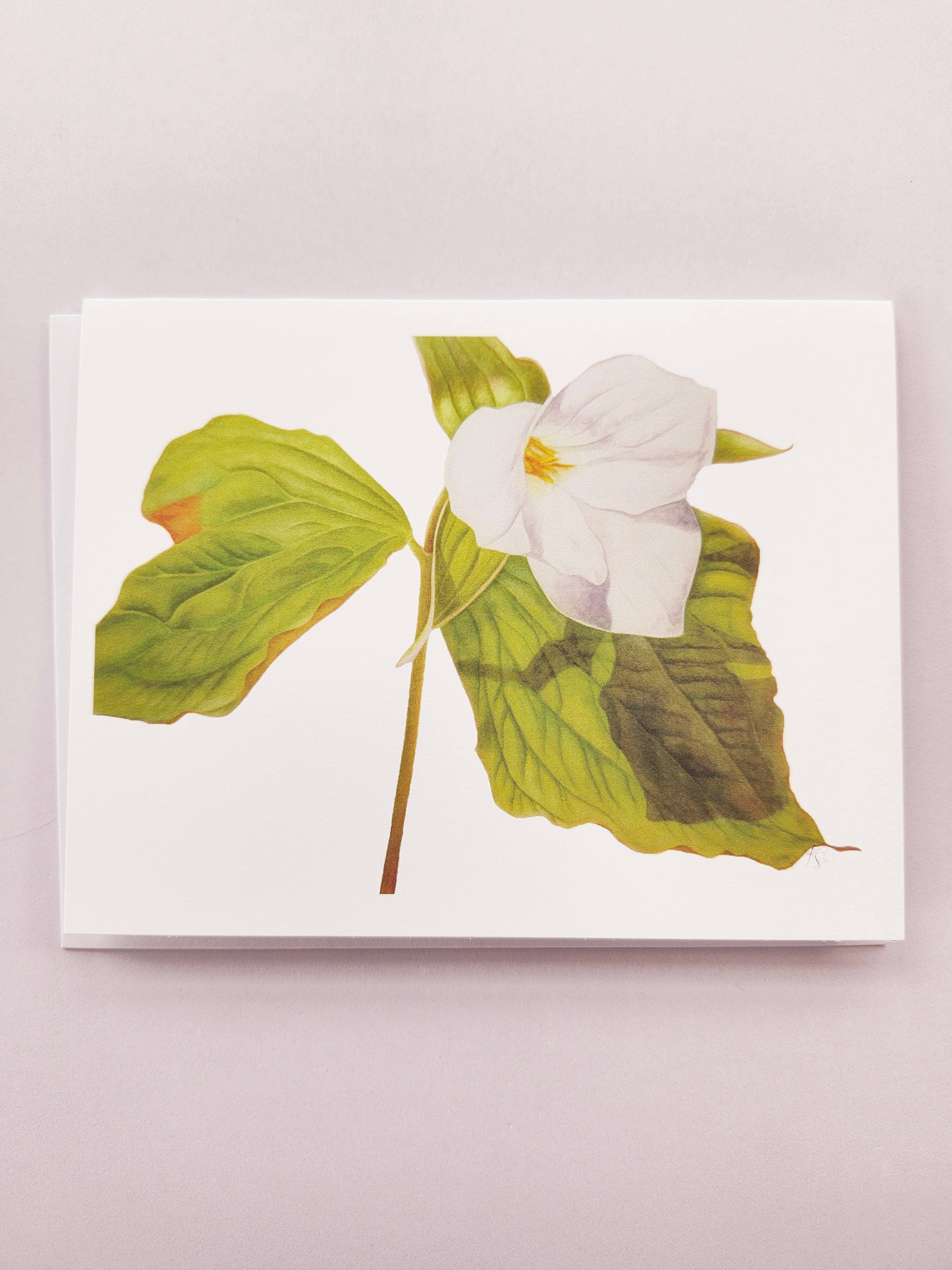 Redbriar Studio - Wholesale Stationery/Notecard Set - Notecards6