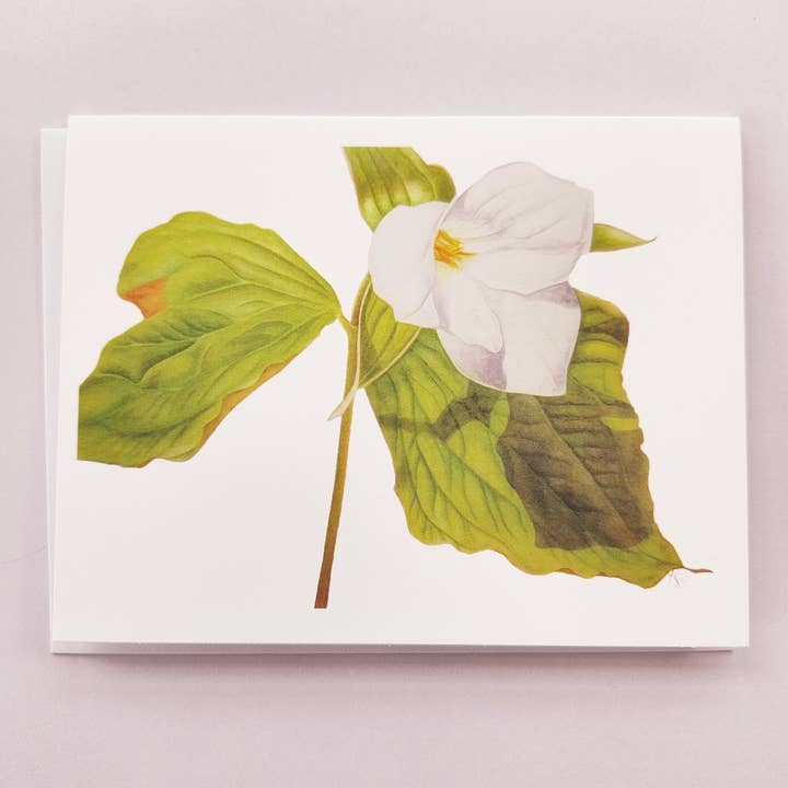 Redbriar Studio - Wholesale Stationery/Notecard Set - Notecards6