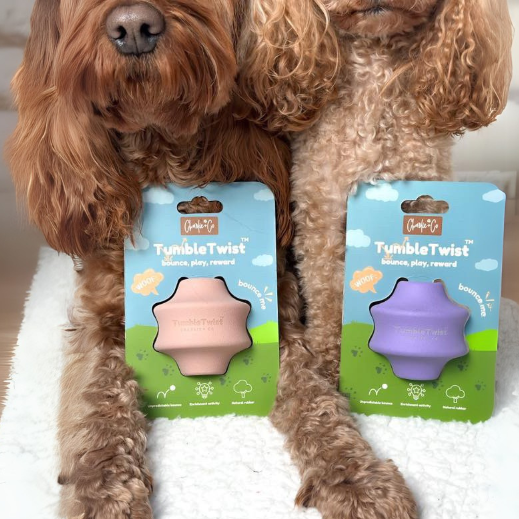 Charlie & Co - Venta al por mayor Juguete para morder - Perros - Tumble Twist - Juguete de enriquecimiento, color púrpura6