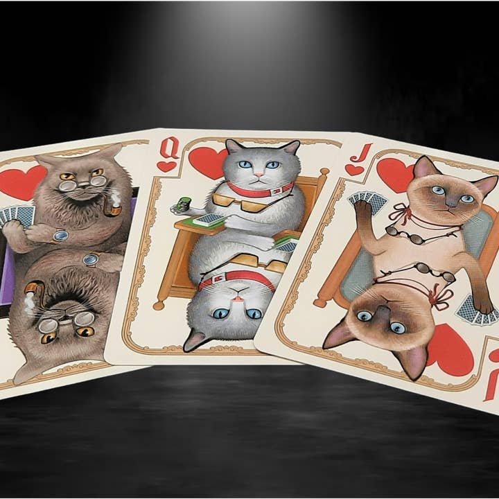 Collectible Playing Cards - Vendita all'ingrosso Carte da gioco - Carte da gioco Bicycle Poker Cats V26