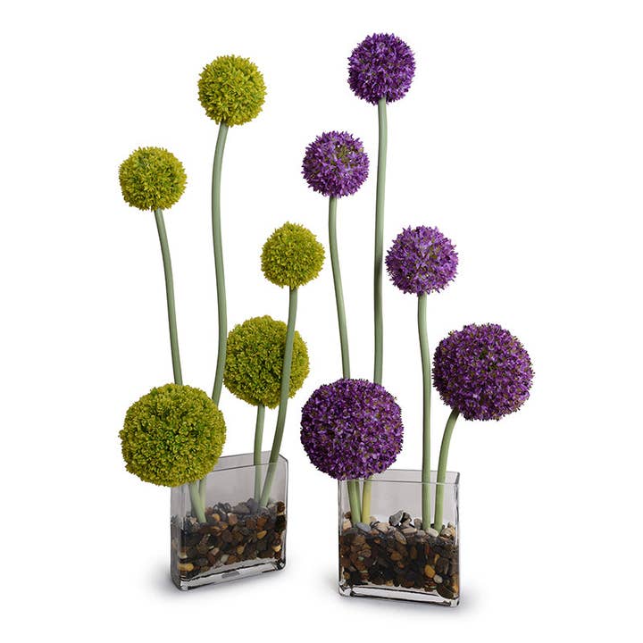 Allium in Glass Rectangle 32"H for wholesale by New Growth Designs