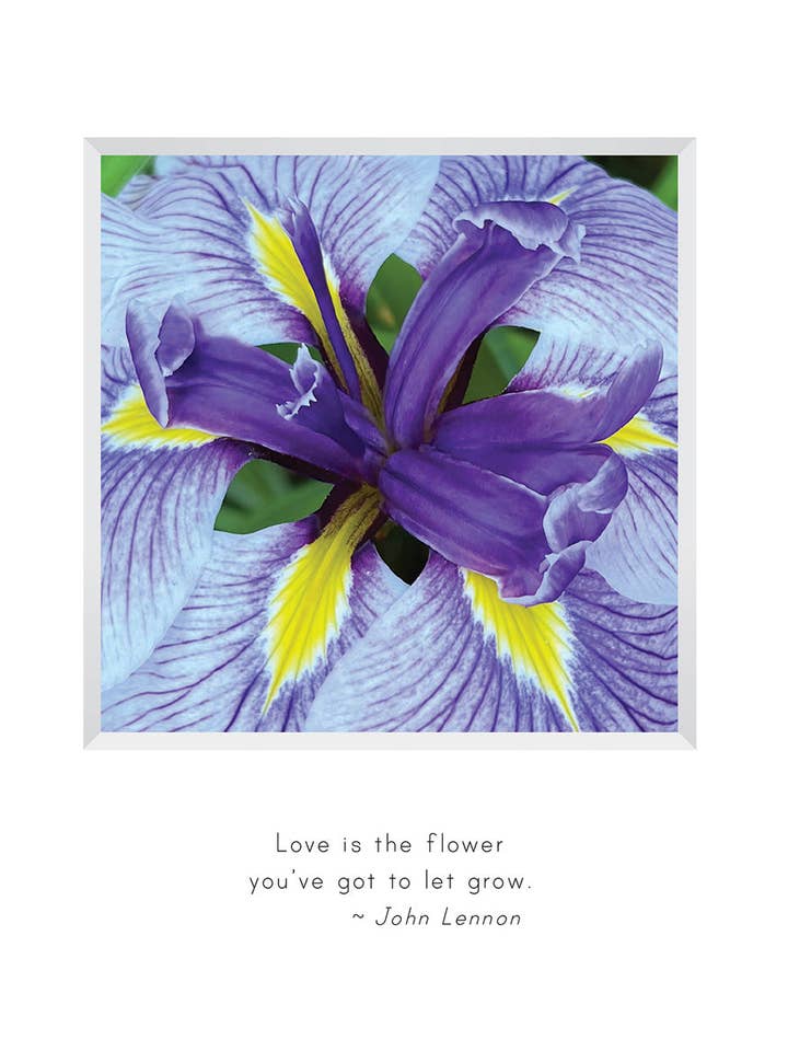 B704 - Blüht für den Großhandel von Stonehenge Designs