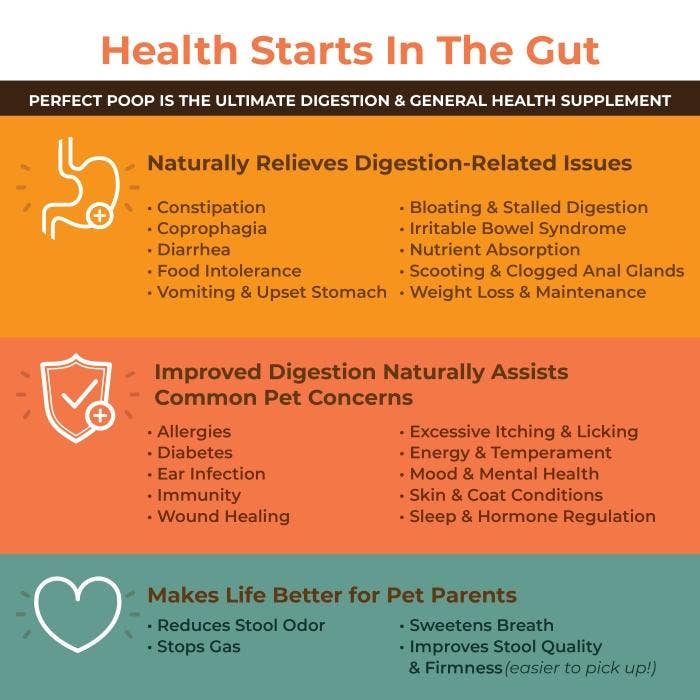 Bernie's Perfect Poop - Wholesale Pet Supplement - Dog - Bernie's Perfect Poop - 12.8 oz Cheddar Cheese2