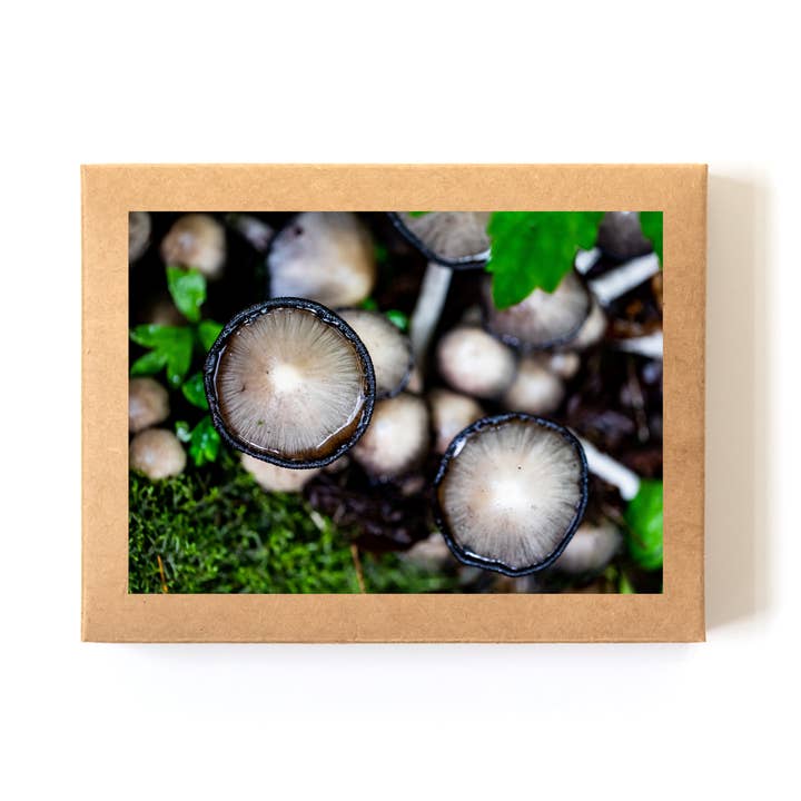 Coffret de cartes « Mushroom Party » (8 cartes+enveloppes) pour la vente par Andrea Morris Art