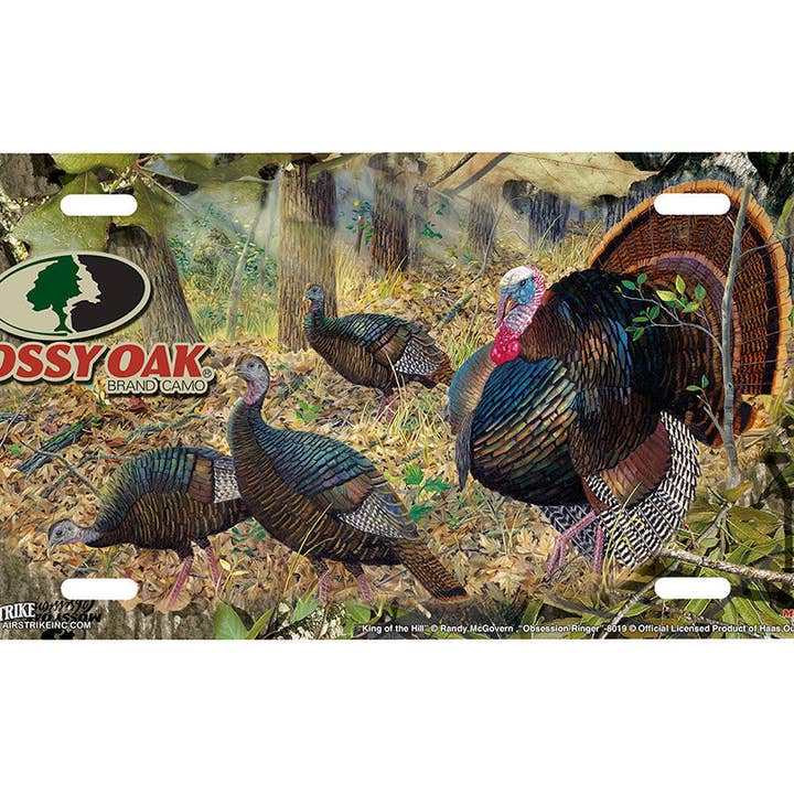 "Obsession Ringer and King of the Hill" - Decorative License Plate for wholesale by Airstrike