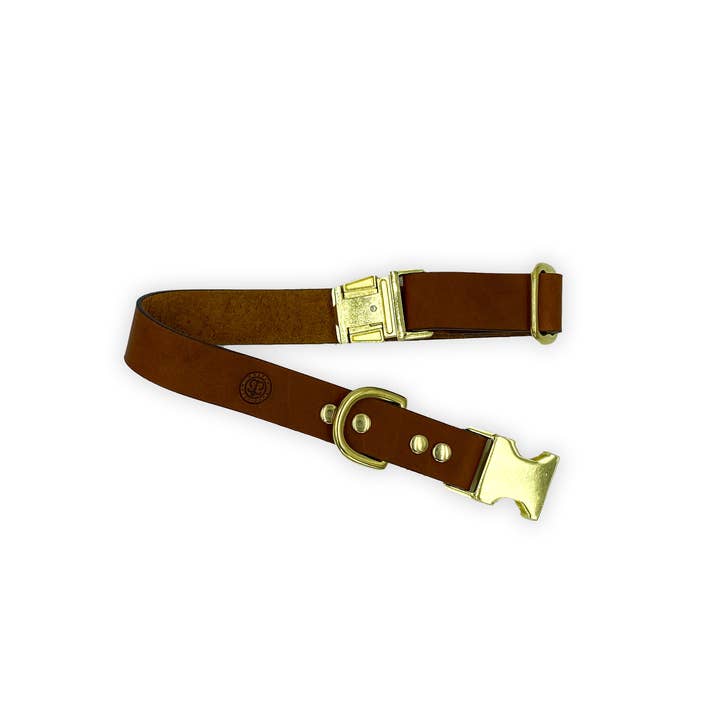 Leather Standard Collar for wholesale by Golden Mutt Jack