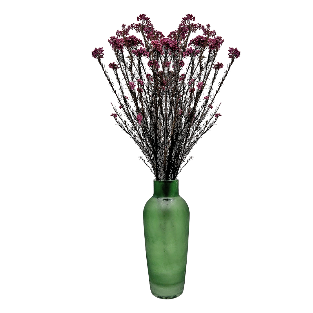 2626 Designs – Engroshandel Tørrede/pressede blomster – Konserveret hirse og risblomst - Immortelle og Ozothamnus blomster15