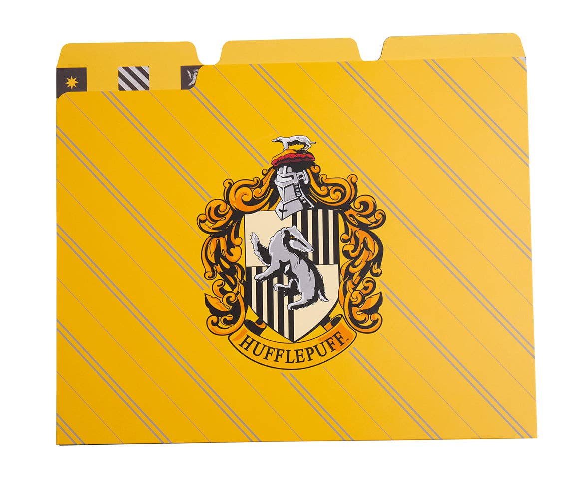 Harry Potter: Harry Potter: Hogwarts Houses File Folder Set (Set of