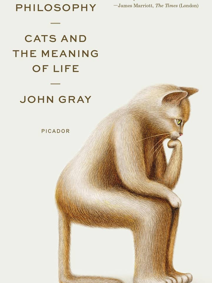 Feline Philosophy: Cats And The Meaning Of Life for wholesale by Macmillan Publishers