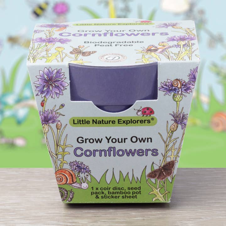 Little Nature Explorers Children's Cornflowers Growing Kit for wholesale by Gardening for Kids Ltd