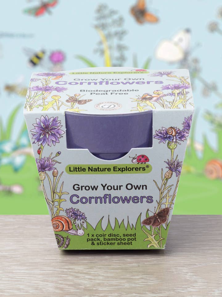 Little Nature Explorers Children's Cornflowers Growing Kit for wholesale by Gardening for Kids Ltd