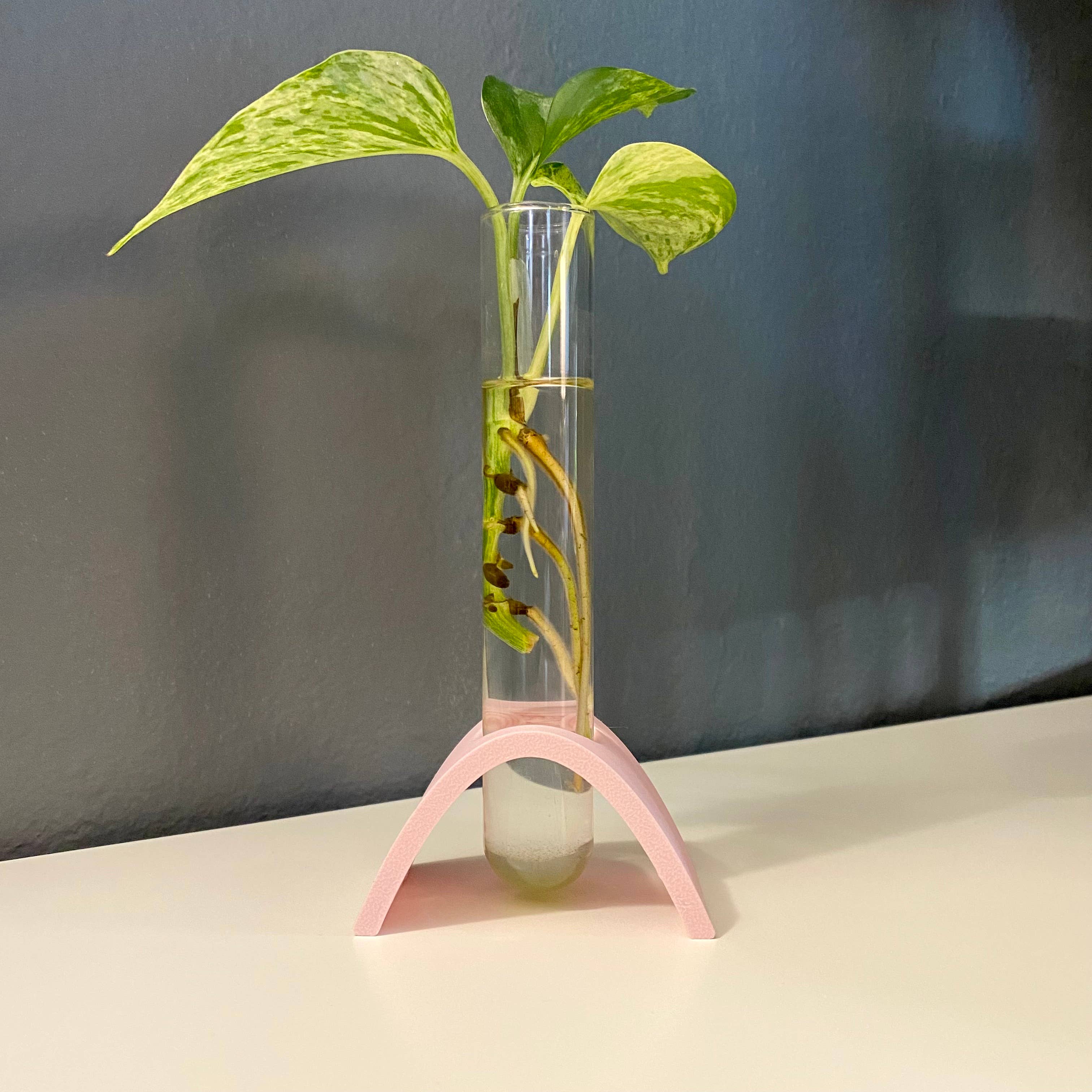 Plant Voyage - Venta al por mayor Macetas - Estación de propagación curva impresa en 3D, soporte de propagación1