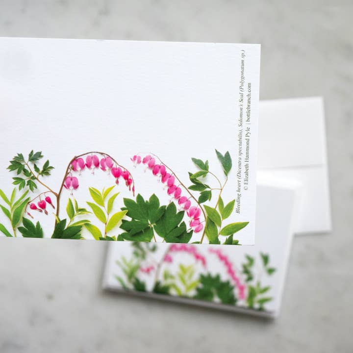 Bottle Branch - Venta al por mayor Conjunto de papelería y tarjetas - Juego de tarjetas planas - Bleeding Heart Flowers