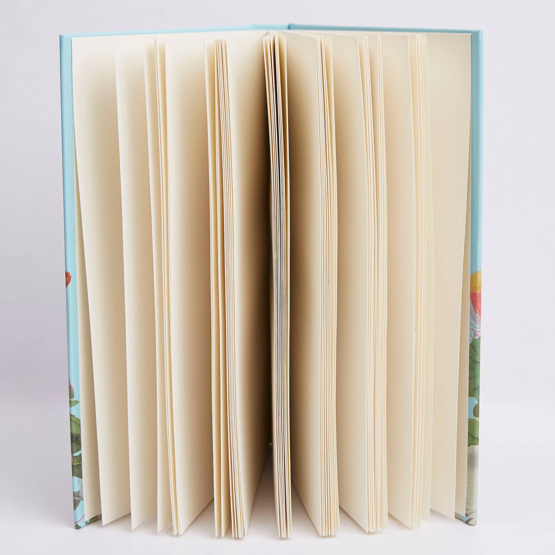 West Design Products UK – wholesale Sketchbook/sketchpad – RHS 160 Page Hardbound Sketchbook (110gsm), A5, Bird Scene9