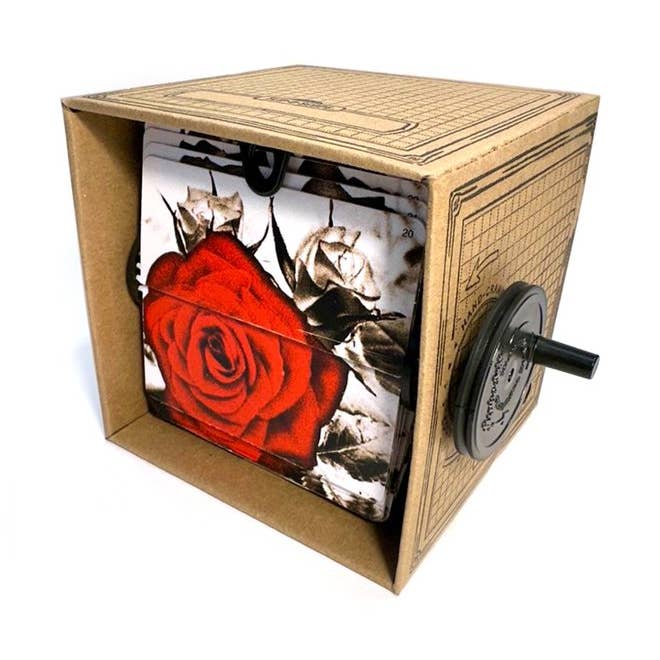 Fliposcope - Wholesale DIY Craft Kit - Fliposcope - Blooming Rose DIY FlipBook Machine Keepsake0