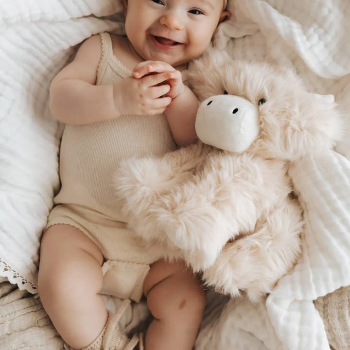 Shine on me Distribution - Wholesale Stuffed/Plush Toy - Kids & Baby - Plush - Hilda the Highland Cow - Snuggle Bunnies4