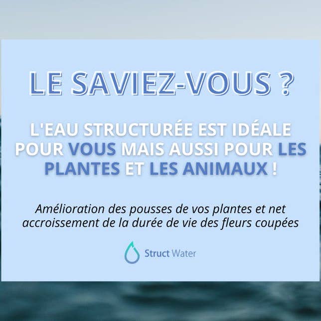 STRUCTWATER FRANCE - Wholesale Water Filter - STRUCTWATER to structure, inform, energize water27