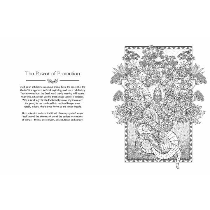 Independent Publishers Group - Wholesale Coloring Book - Adult - Nature’s Magic