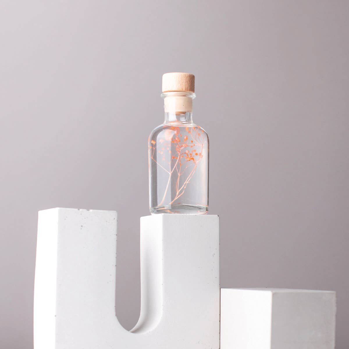 Theophile Berthon - Vente Plante - L'Herbarium Gypsophile rose - plante immergée5