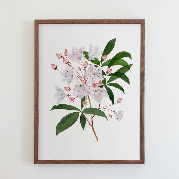 Mountain Laurel Print for wholesale by 50 States of Beauty