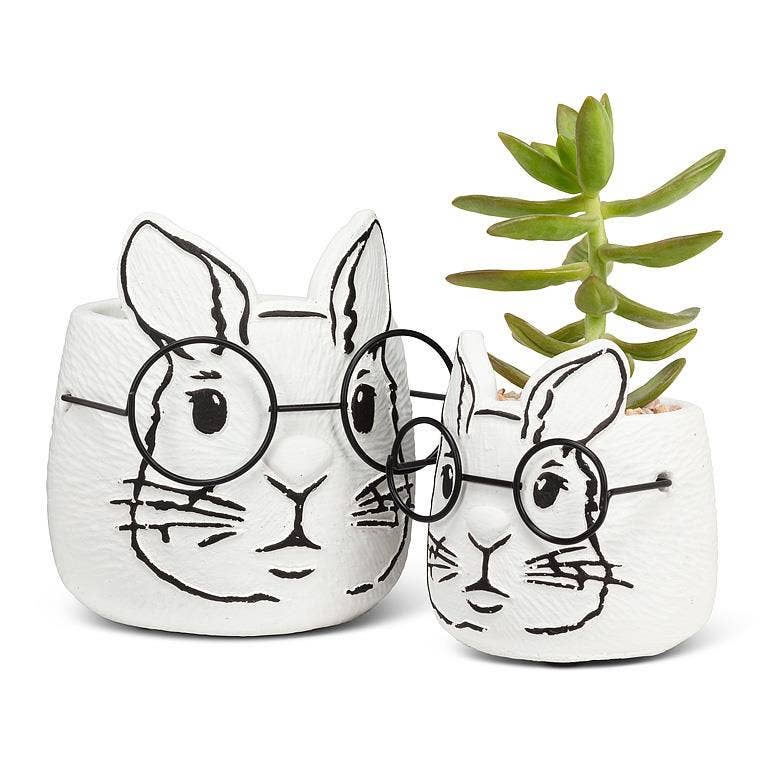 Abbott - Wholesale Plant Pot - Large Bunny Planter with Glasses-5"H1
