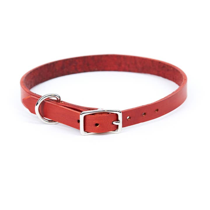Odell Design Studio – wholesale Pet collar – Dog – Medium Leather Dog Collar - Available in More Colors