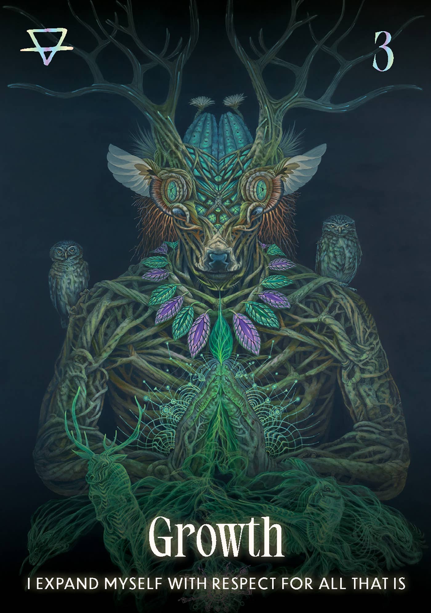 ROCKPOOL PUBLISHING - Wholesale Tarot Cards - Shamanic Oracle1
