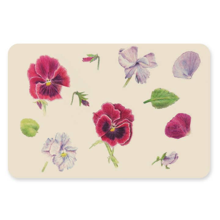 Postkaart - Viooltjes for wholesale by Silly Goose