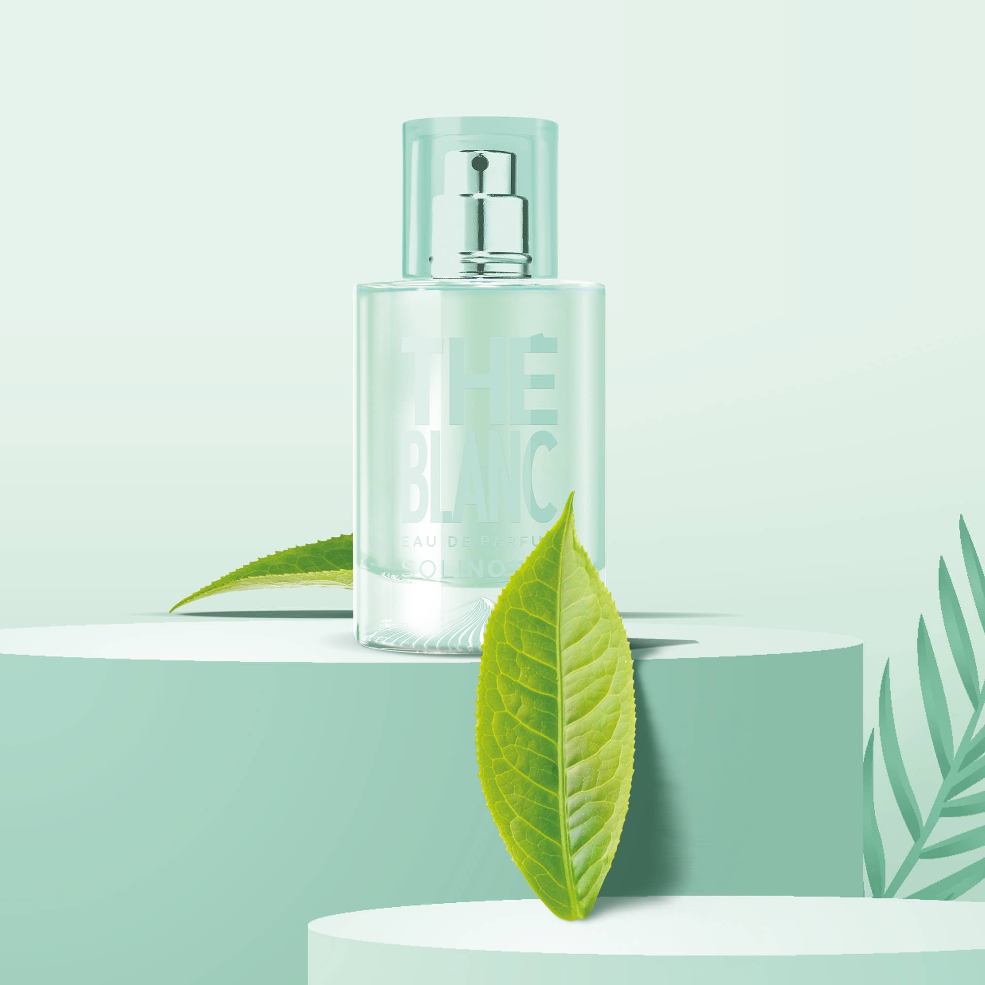 Solinotes (US Stores) - Distributed by Scents of Europe - Wholesale Perfume/Eau de Toilette - White Tea Perfume 1.7 oz - CLEAN BEAUTY7