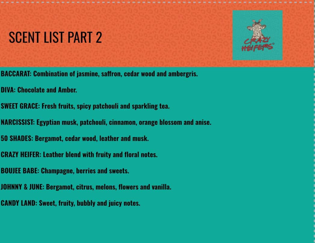 Crazy Heifers Wholesale - Wholesale Car Freshener - Women's - Car Diffuser Bar Starter Kit8