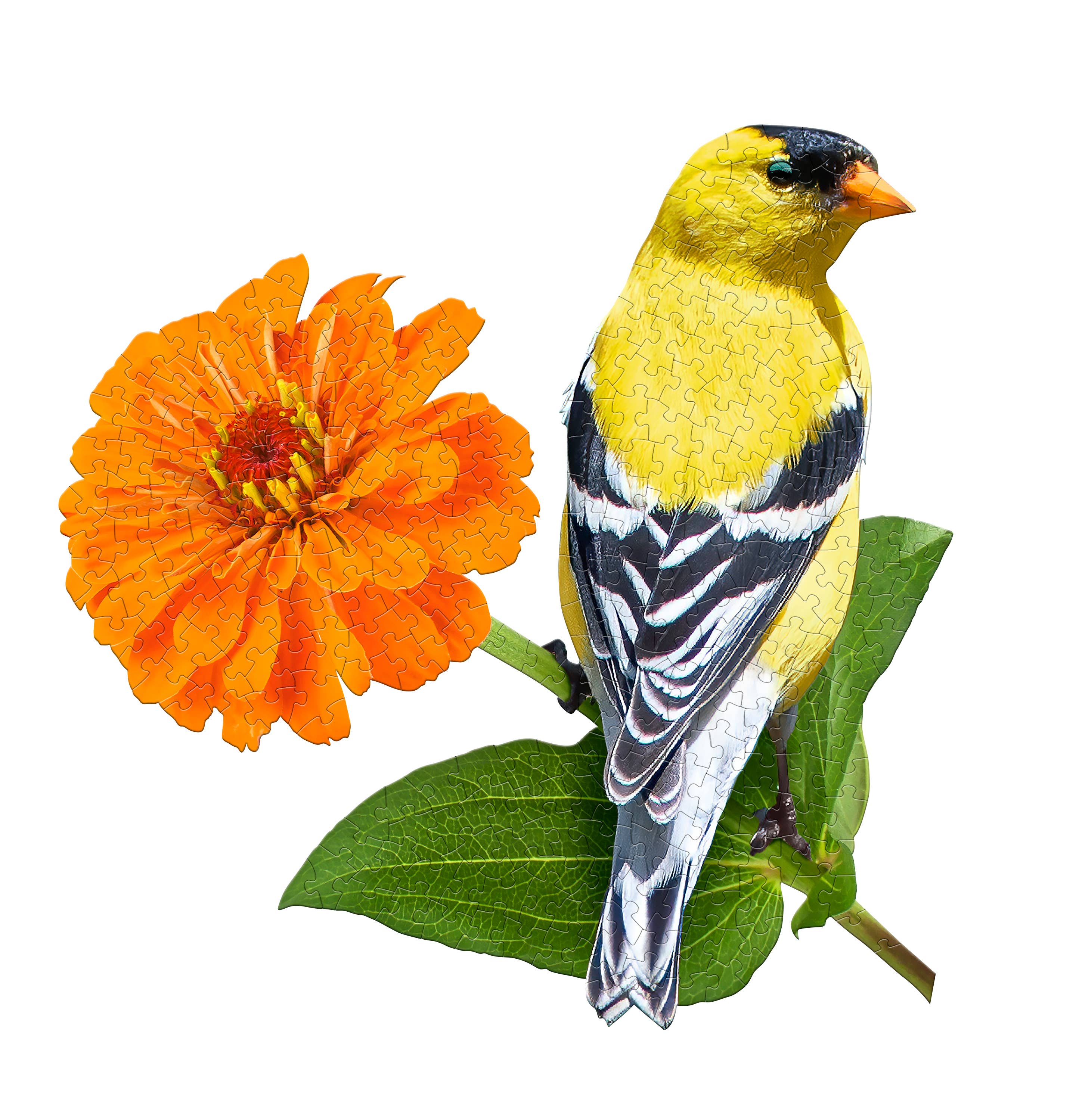 Madd Capp Games & Puzzles - Wholesale Retailer Display - Paper & Novelty - PUZZLE DISPLAY Goldfinch 3000