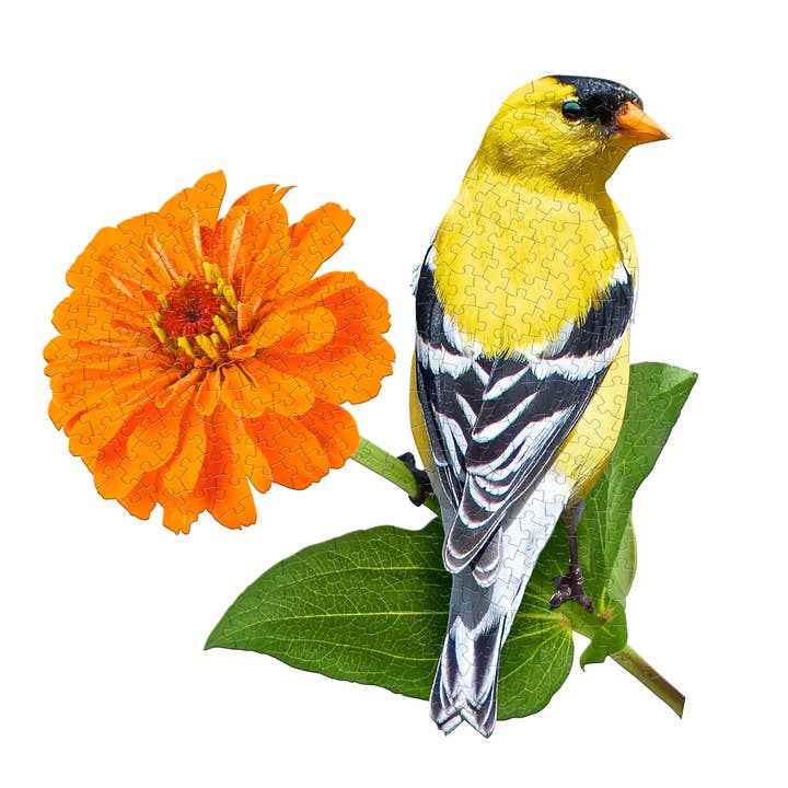 Madd Capp Games & Puzzles - Wholesale Retailer Display - Paper & Novelty - PUZZLE DISPLAY Goldfinch 300