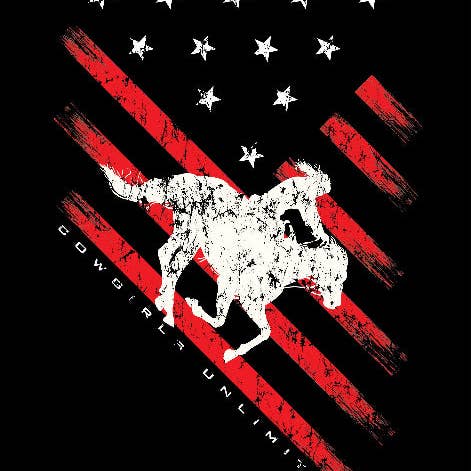 CG Slant Flag for wholesale by Country Barn USA