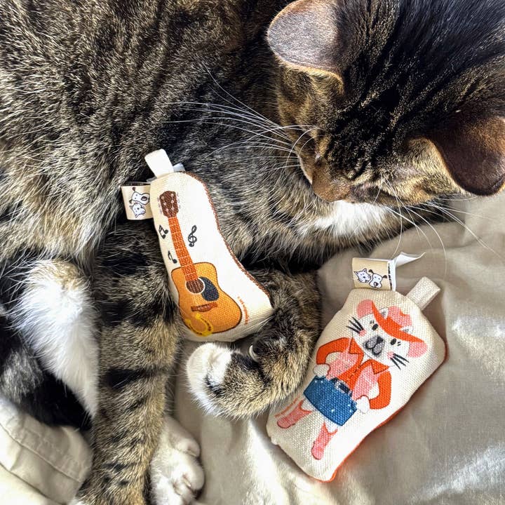 Speckle and Spot by Ore’ Originals - Wholesale Pet Toy Set - Cat - Go Kitty Go Cat Toy Set | Country Music Kitty2