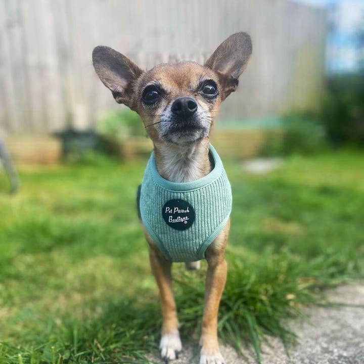 Pet Pooch Boutique – Engroshandel Kæledyrssele – Hund – Sage Green Cord hvalpesele XS-L (forår/blød)6