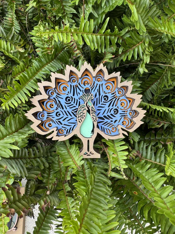 Paon pour la vente par The Wilusz Way