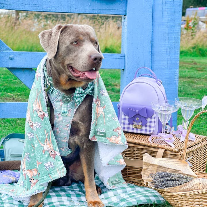 Pawsome Paws – wholesale Pet blanket – Dog – Disney© Dog Blanket - Bambi + Thumper