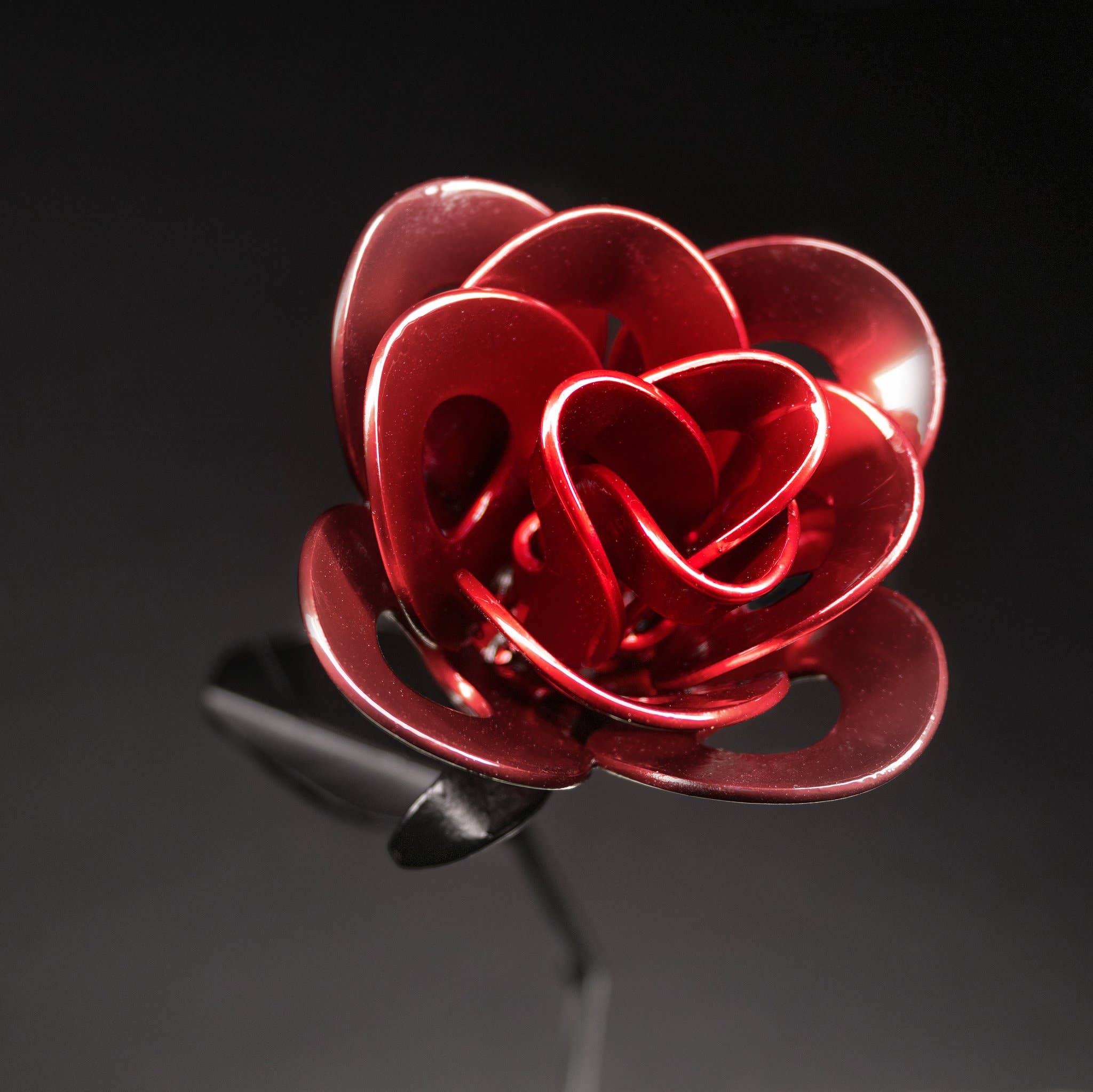 Metal Relic - Wholesale Artificial Flowers - Red and Black Single Immortal Rose Individually Packed3