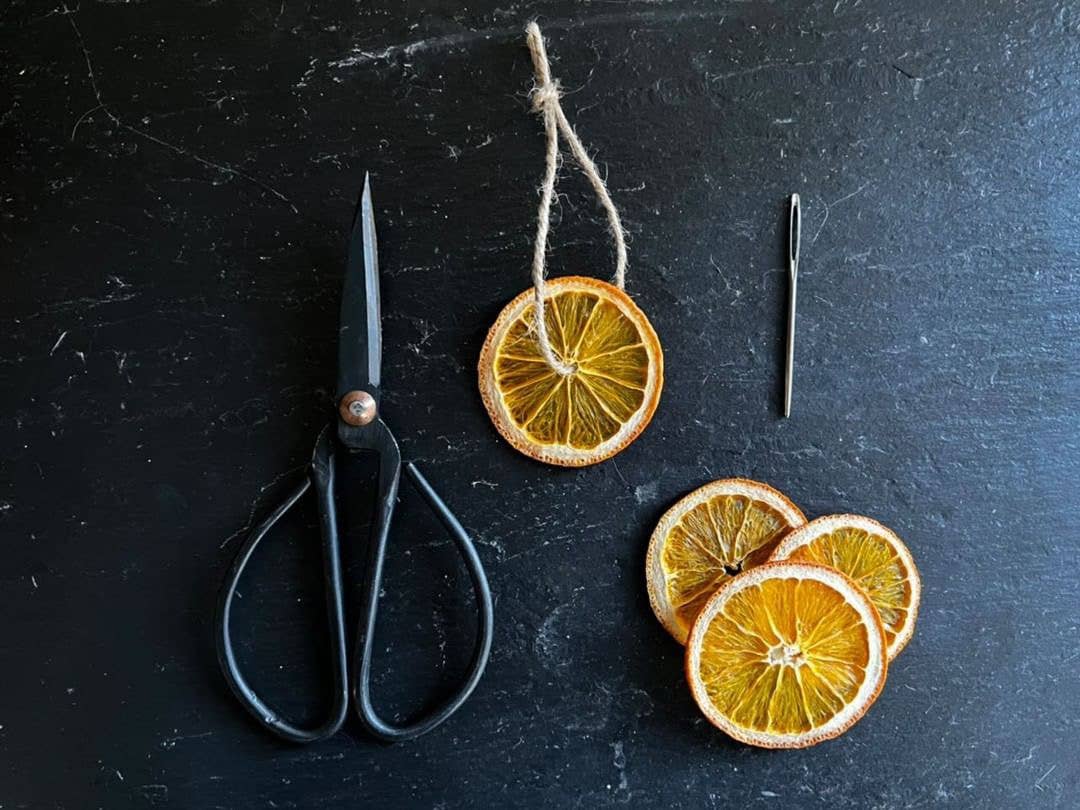 Hunt and Gather Dry Foods - Wholesale Dried/Dehydrated Fruit - Dried Oranges6