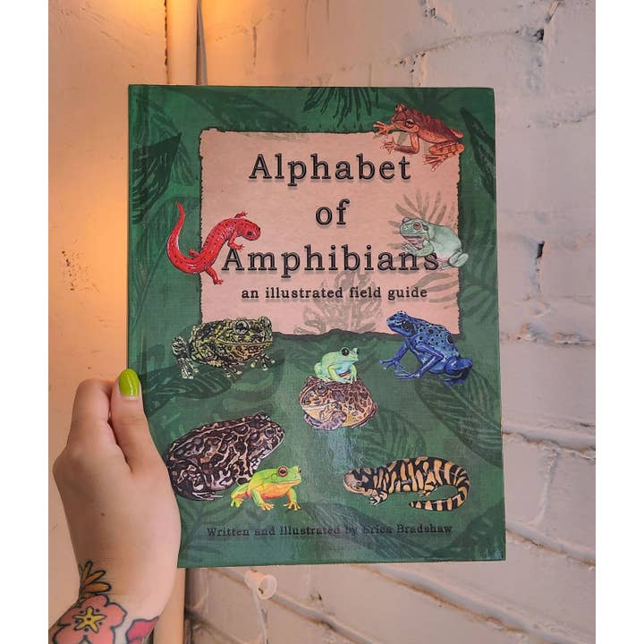 Alphabet of Amphibians Field Guide Hard Cover Picture Book ( for wholesale by To Draw Attention