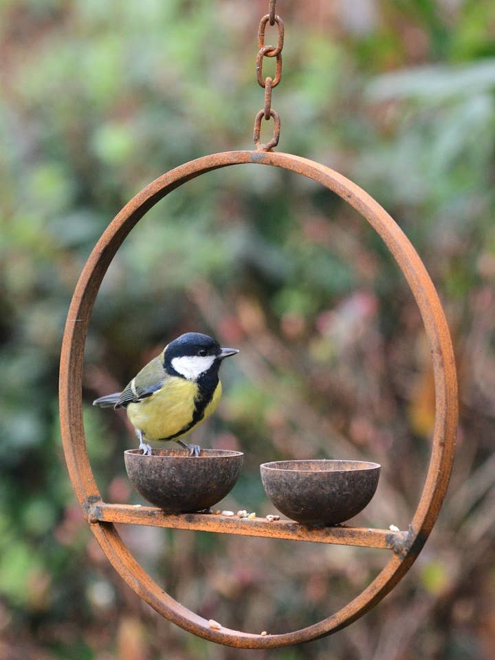 Double Hanging Bird Feeder Ring for wholesale by Savage Works