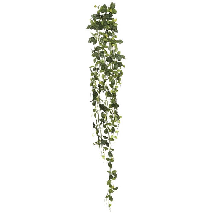 Vert Douille suspendue Fittonia de 65 po de Vickerman avec 374 feuilles. -Gris en vente sur Faire