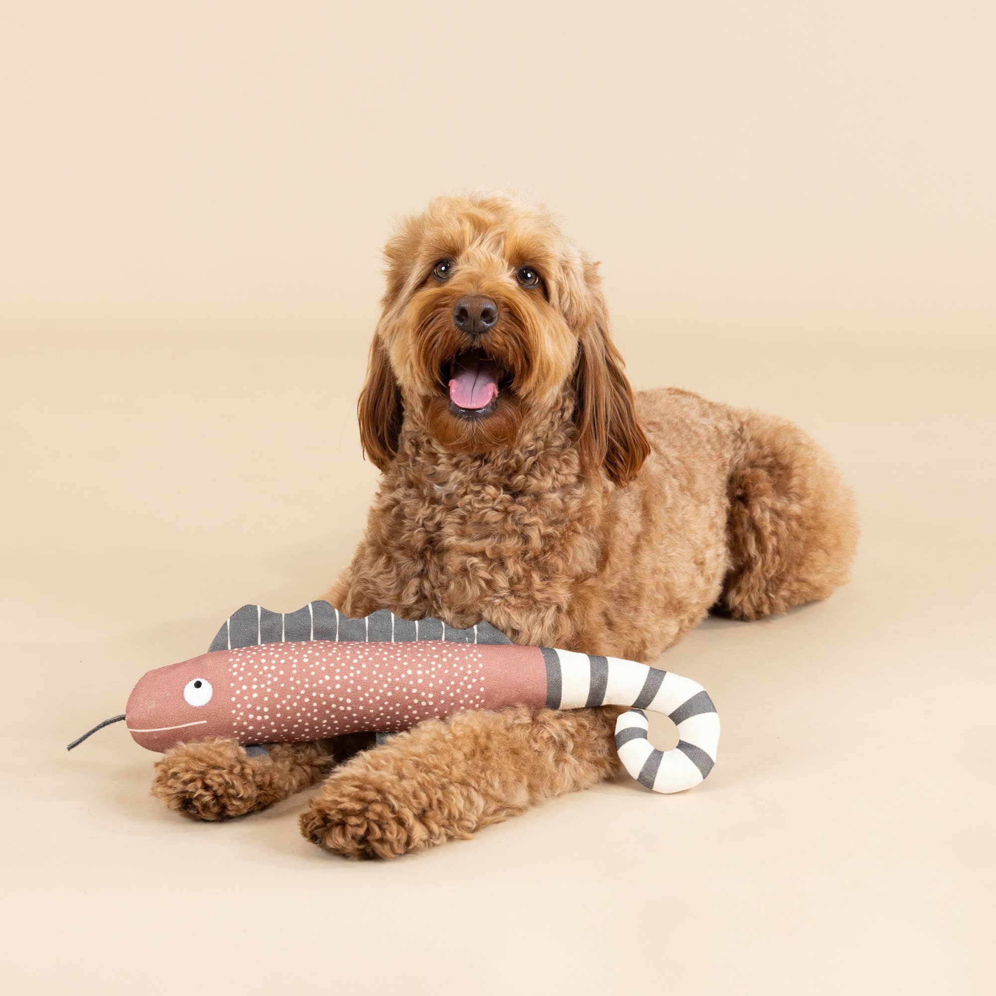 Petshop by Fringe Studio - Vente Jouet couineur – chien - JOUET EN TOILE COUINEUR POUR CHIEN, UN CAMÉLÉON3