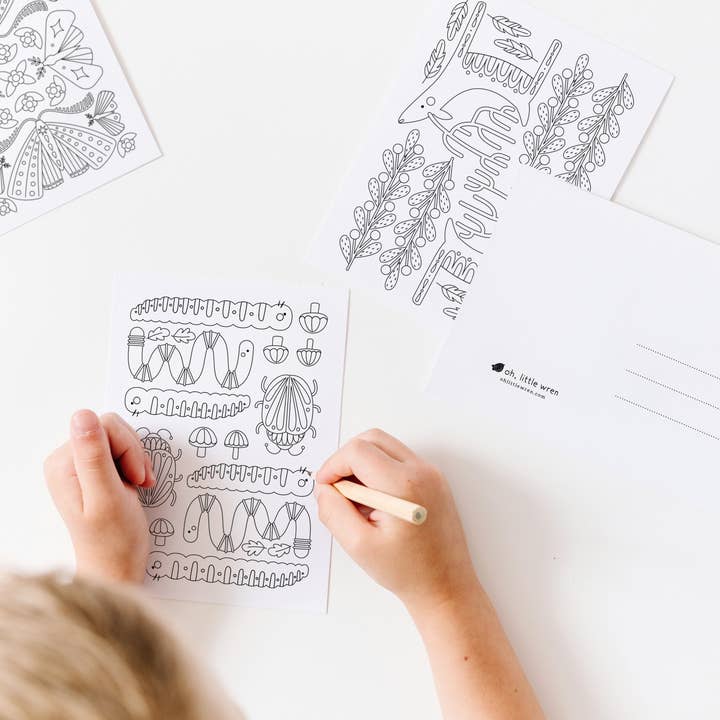 oh, little wren - Wholesale Postcard Set - Wonders + Wilds Coloring Postcards | 14 Illustrated Art Card1