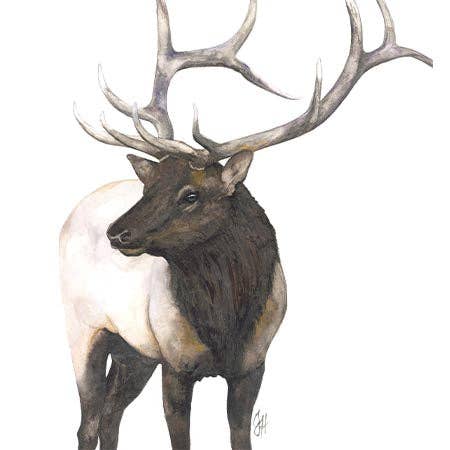 DOLLY ESTELLE - Wholesale Cutting Board - Charcuterie  Cutting Boards - Mix & Match80